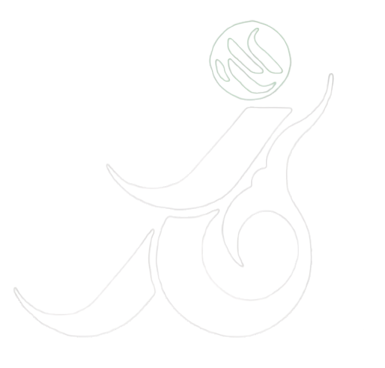 آسایشگاه خیریه معلولین ذهنی امیرالمومنین سبزوار